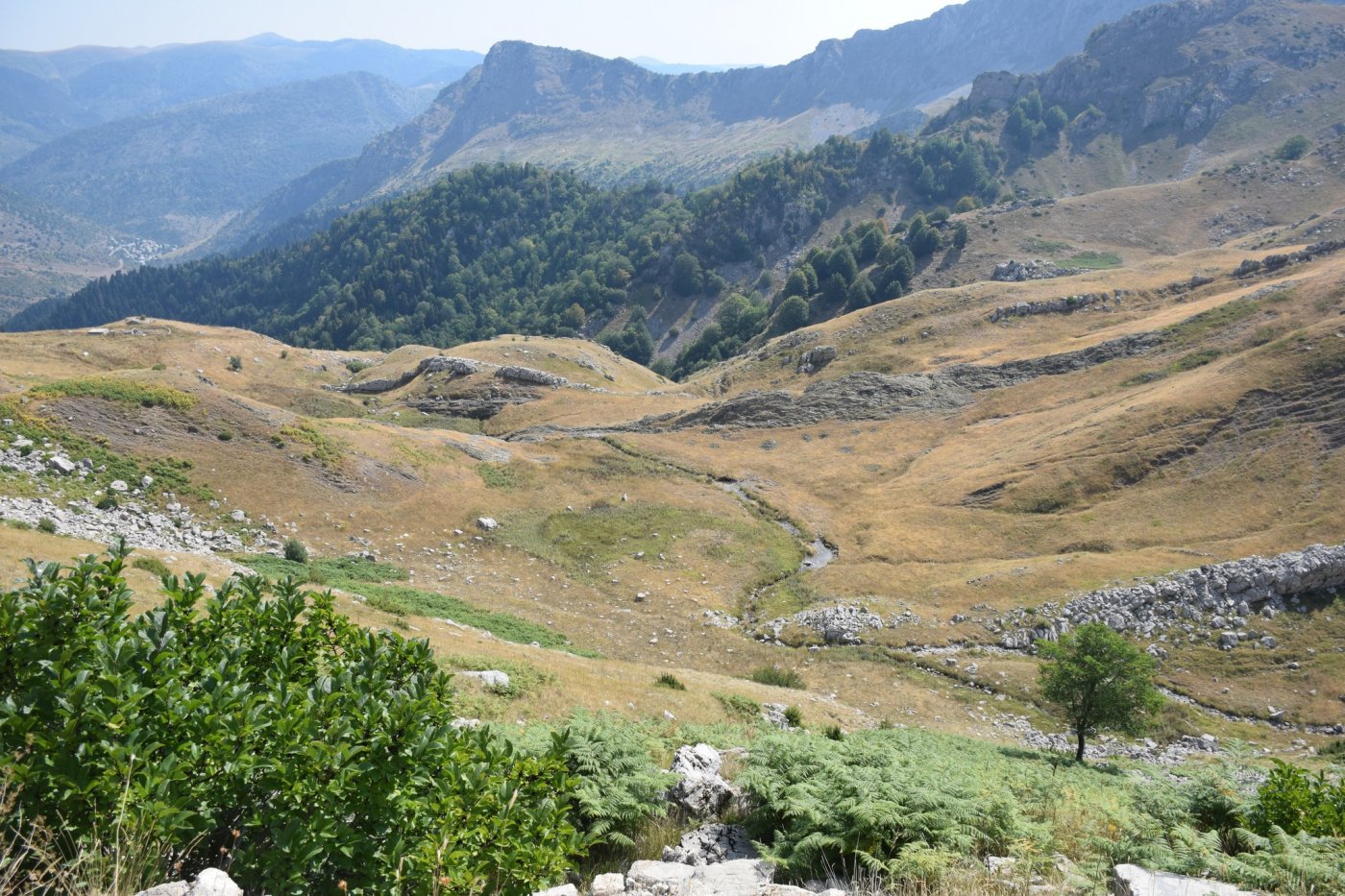 Η επανασύνδεση του παραδοσιακού μονοπατιού: Μέτσοβο - Ανήλιο - Μάντρα Χότζα - Χαλίκι - Στουρνάρα - Καλαρρύτες/Συρράκο