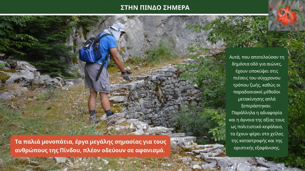 Υποστηρίξτε το "Μονοπάτι της Πίνδου" - Case for Support
