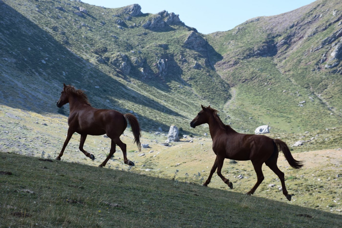 Completion of the Pindus Trail Day Section: Athanasios Diakos – Vardousia mt Refuge - Artotina