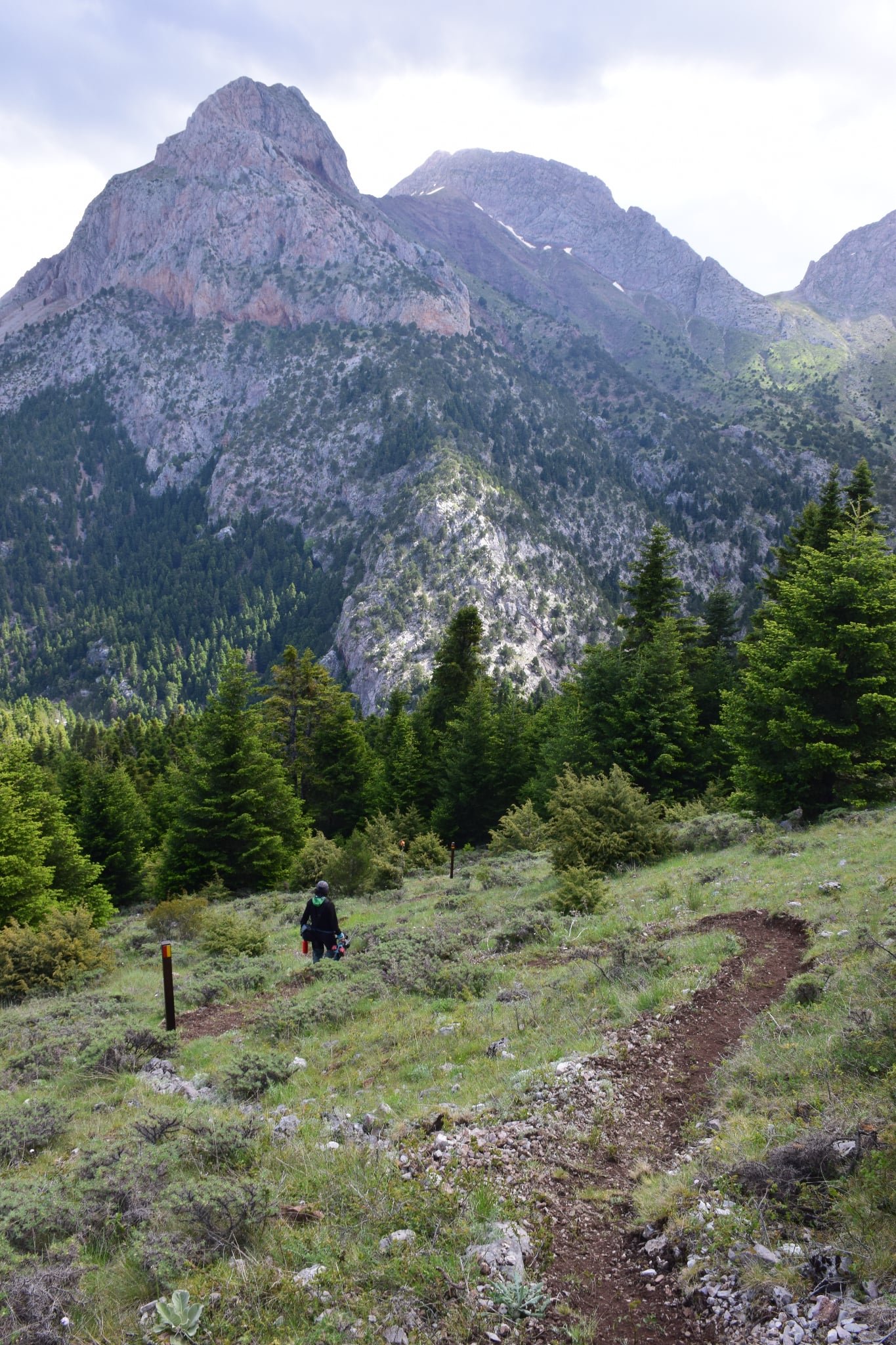 Completion of the Pindus Trail Day Section: Athanasios Diakos – Vardousia mt Refuge - Artotina