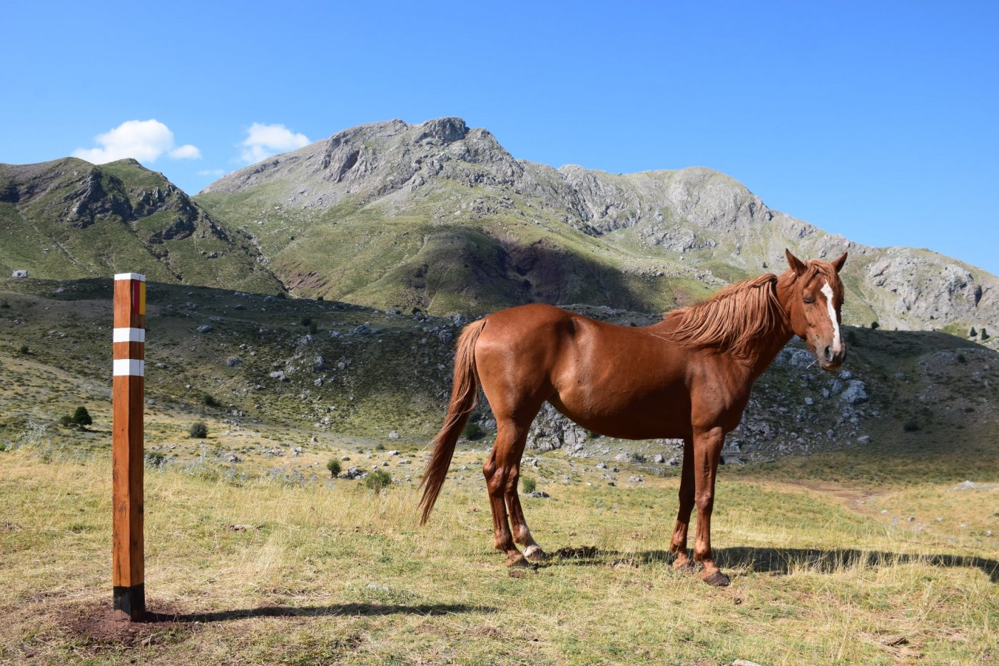 Completion of the Pindus Trail Day Section: Athanasios Diakos – Vardousia mt Refuge - Artotina
