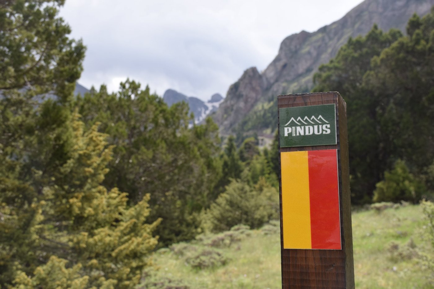 Completion of the Pindus Trail Day Section: Athanasios Diakos – Vardousia mt Refuge - Artotina