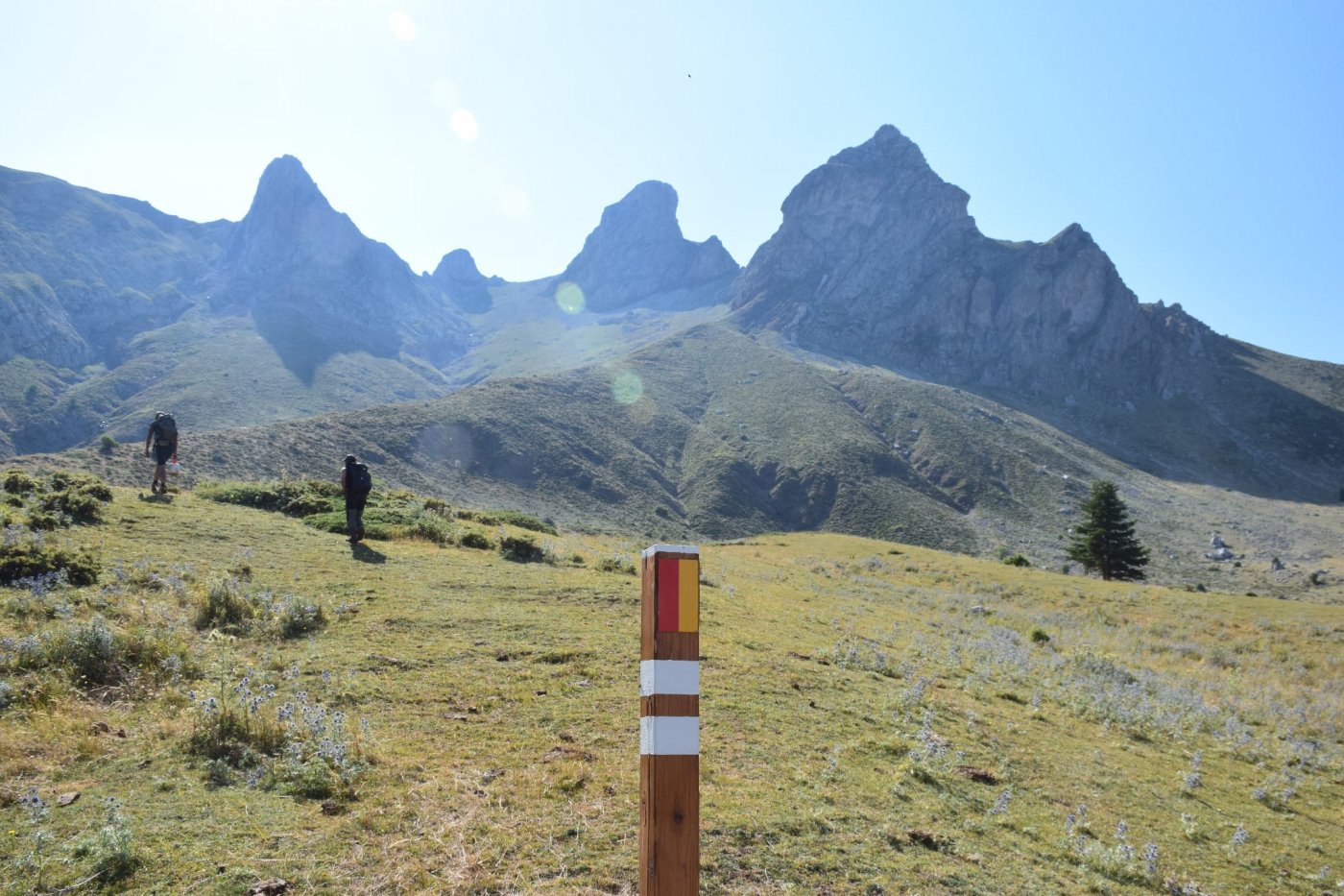 Completion of the Pindus Trail Day Section: Athanasios Diakos – Vardousia mt Refuge - Artotina