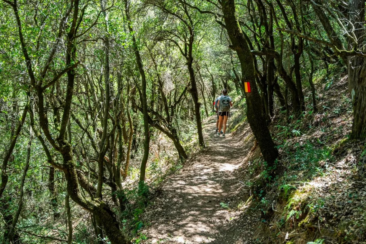 Anthrax Sportswear & Pindus Trail Project: Συνεργασία με Όραμα και Αποτύπωμα